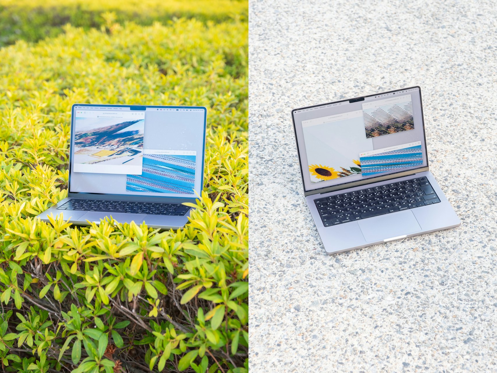 PhotographySocialFrame<br> ( SCREEN ) の画像 8